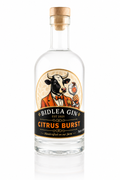 Bidlea Gin - Citrus Burst