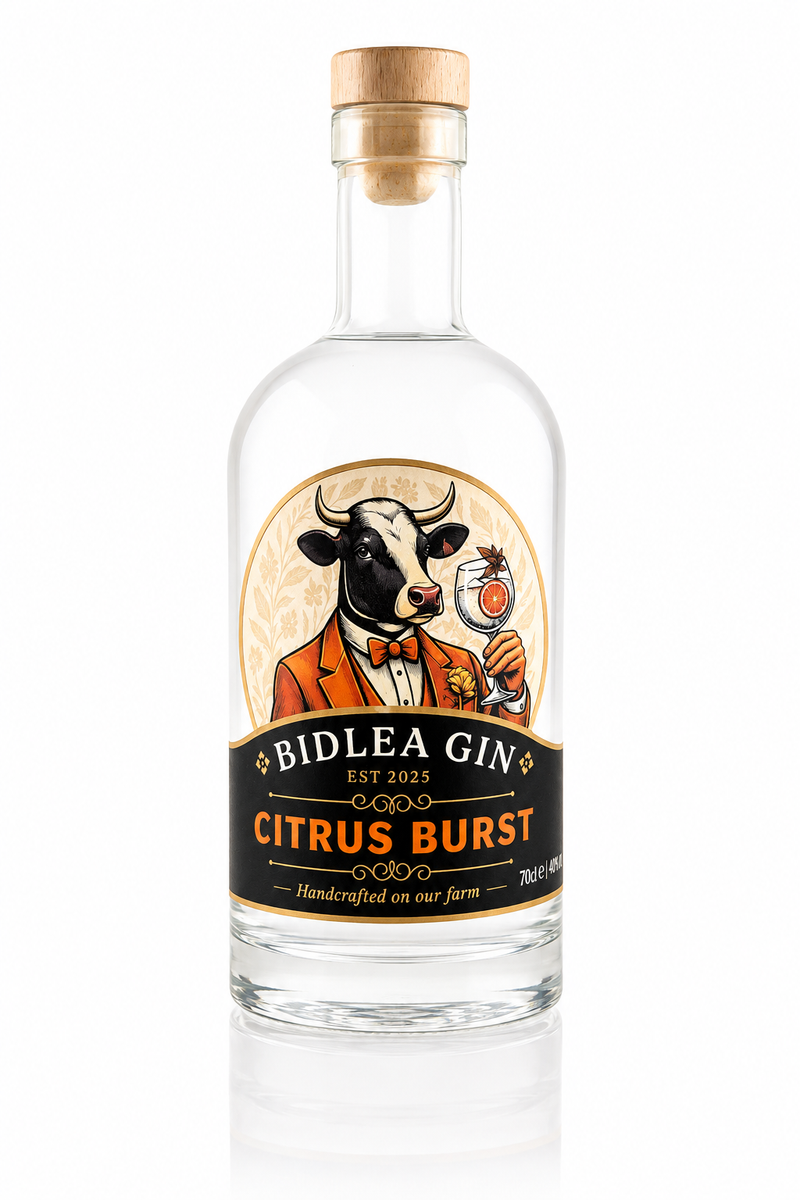 Bidlea Gin - Citrus Burst