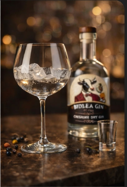 Pour 50ml Bidlea Gin